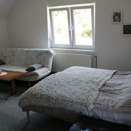 R&G Apartment Zirovnica Екстериор снимка