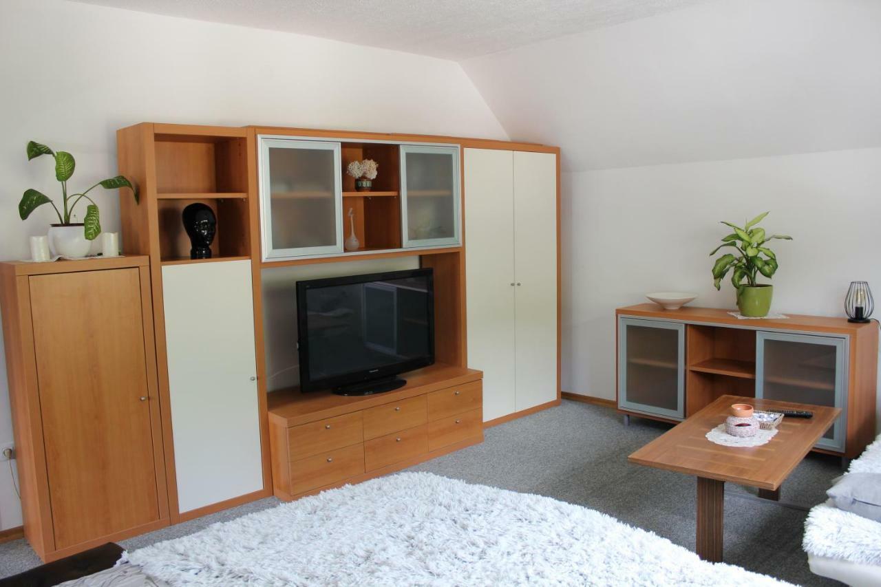 R&G Apartment Zirovnica Екстериор снимка