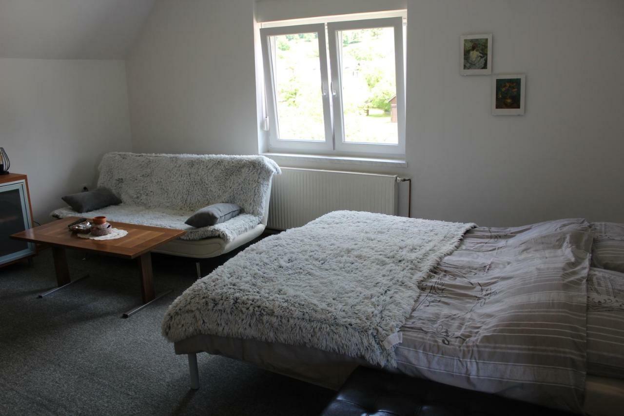 R&G Apartment Zirovnica Екстериор снимка