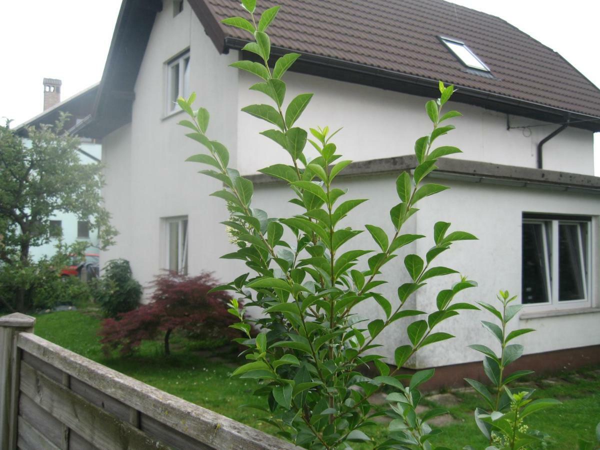 R&G Apartment Zirovnica Екстериор снимка